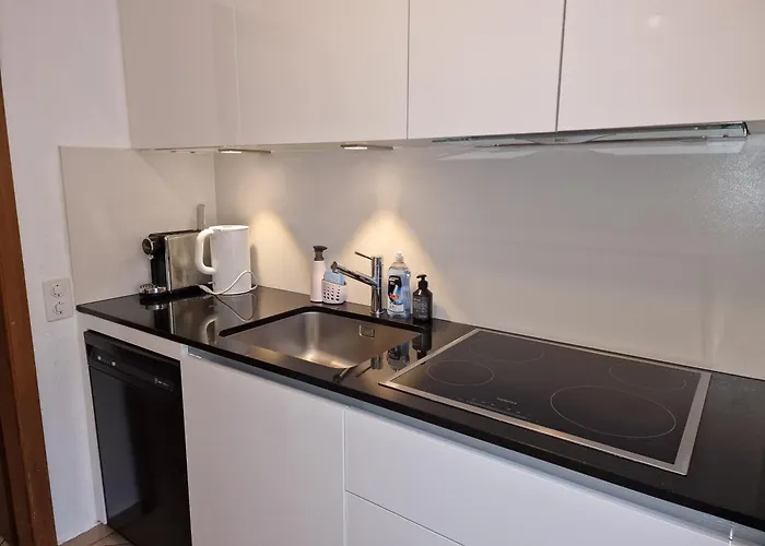 شقة Haus Attila زيرمات